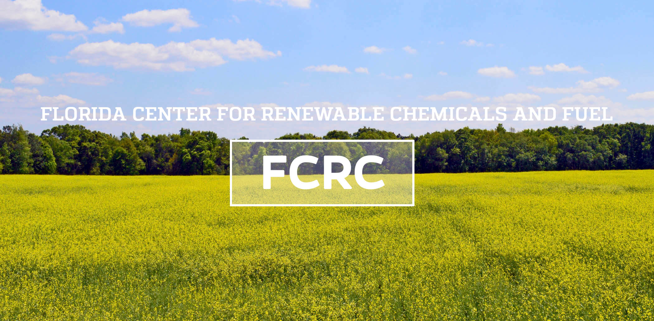 FCRC: Florida Center For Renewable Chemicals and Fuels